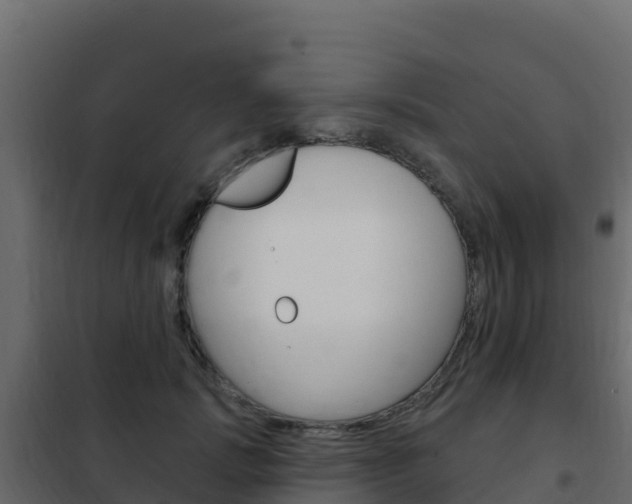 X0000102490749200808081056