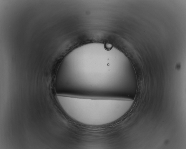 X0000102490750200808081056