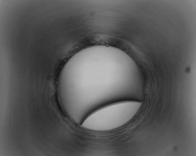 X0000102490751200808081056