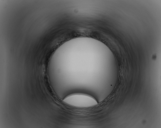 X0000102490752200808081056