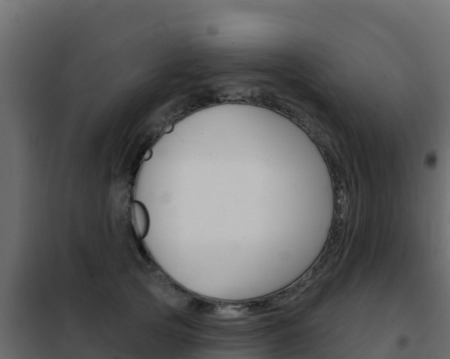 X0000102490753200808081056