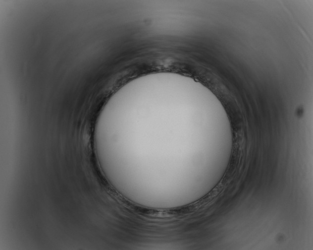 X0000102490754200808081056