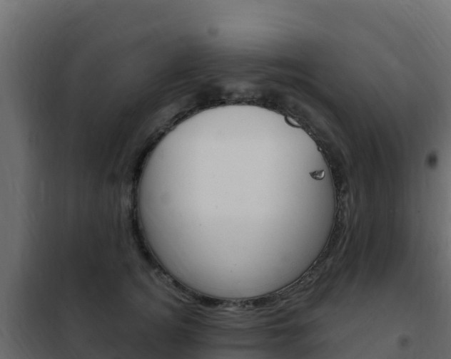 X0000102490756200808081056