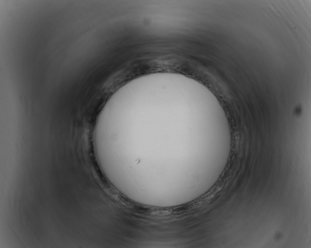 X0000102490757200808081056