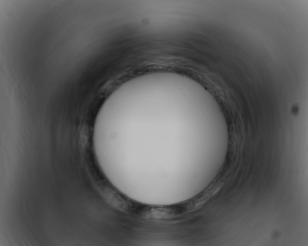 X0000102490758200808081056