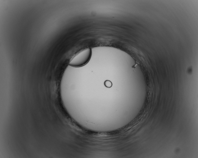 X0000102490759200808081056