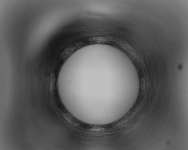 X0000102490760200808081056
