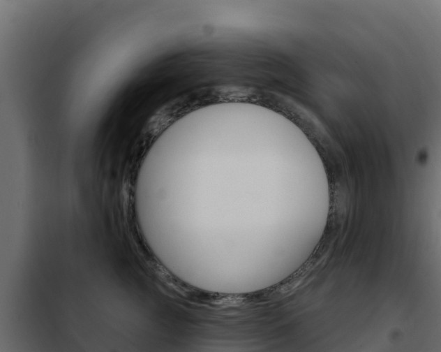 X0000102490761200808081056
