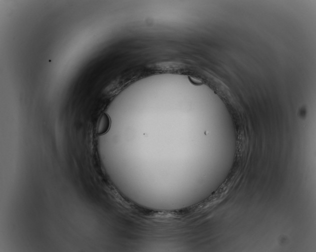 X0000102490762200808081056