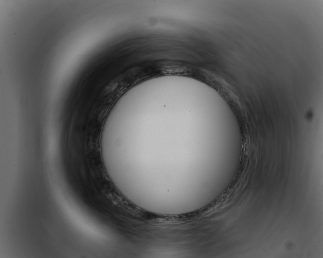X0000102490763200808081056