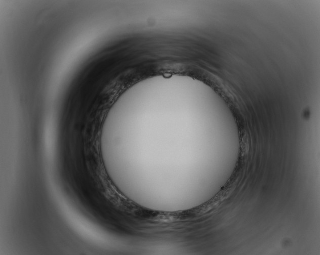 X0000102490764200808081056