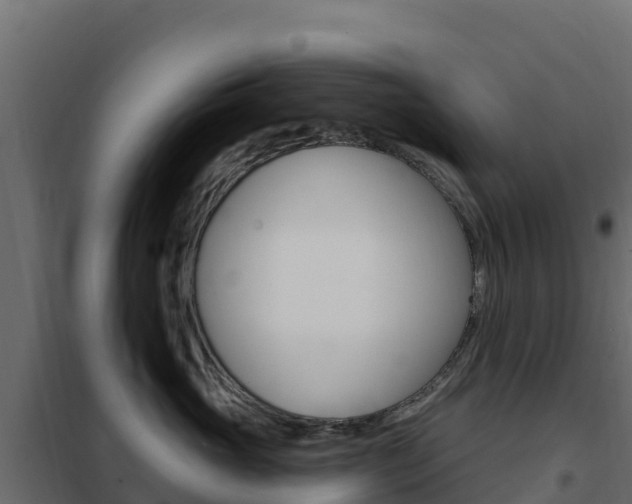 X0000102490765200808081056