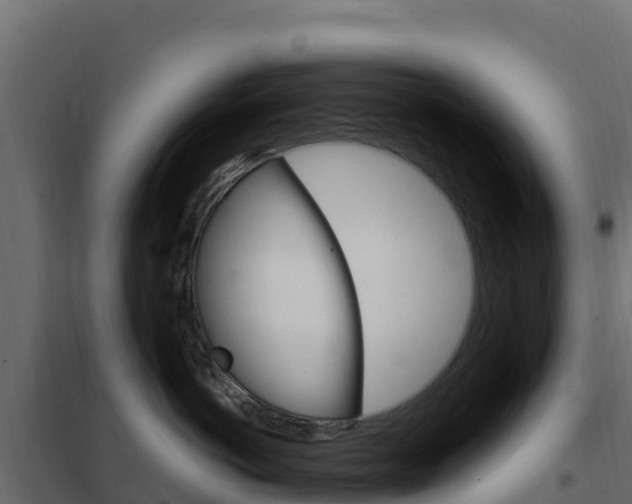 X0000102490766200808081056