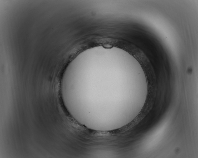 X0000102490767200808081056