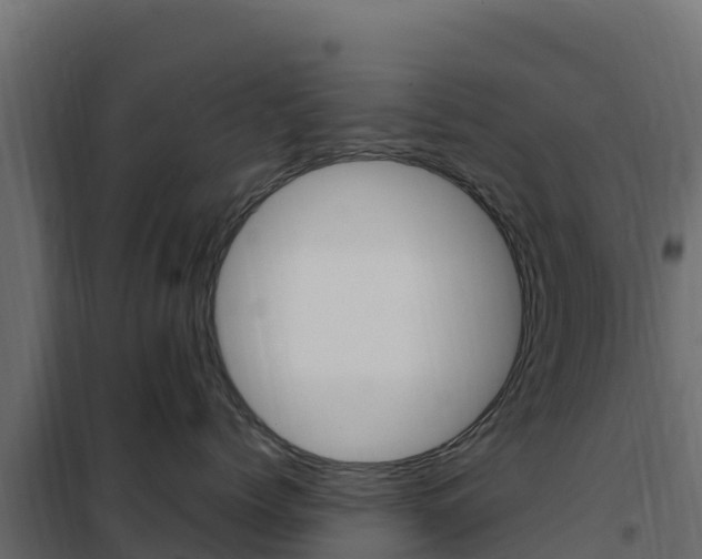 X0000102490768200808081056