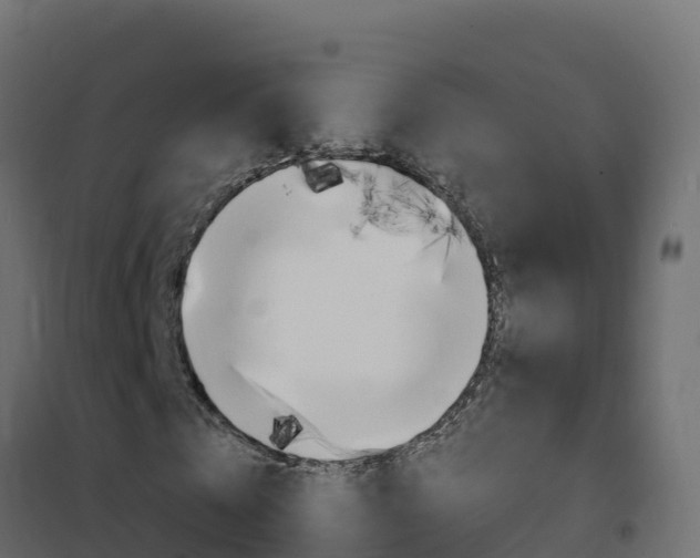 X0000102490769200808081055