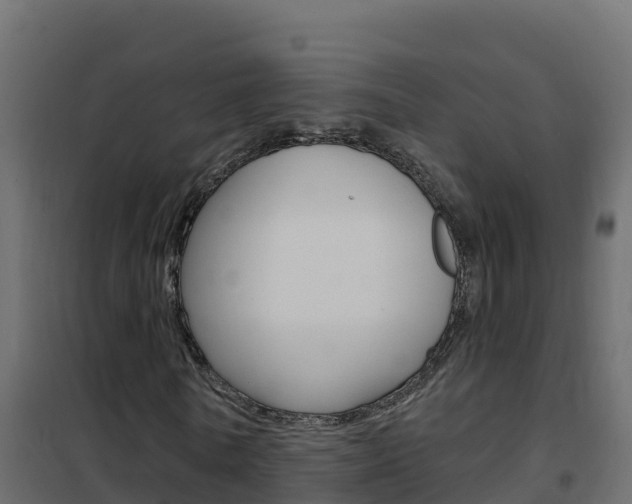 X0000102490770200808081055