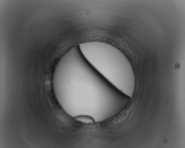 X0000102490771200808081055