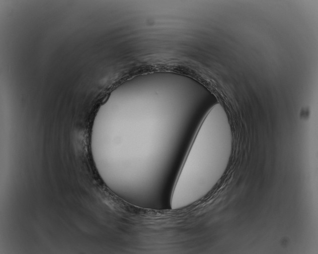 X0000102490772200808081055