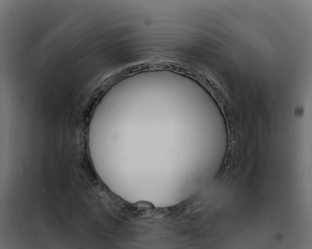 X0000102490773200808081055