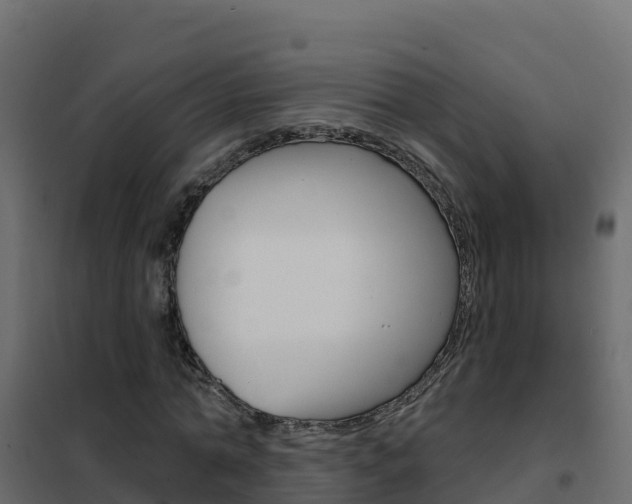 X0000102490774200808081055