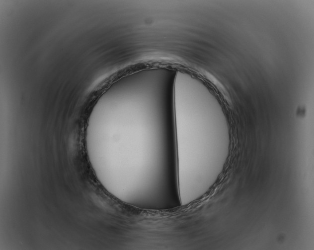 X0000102490775200808081055