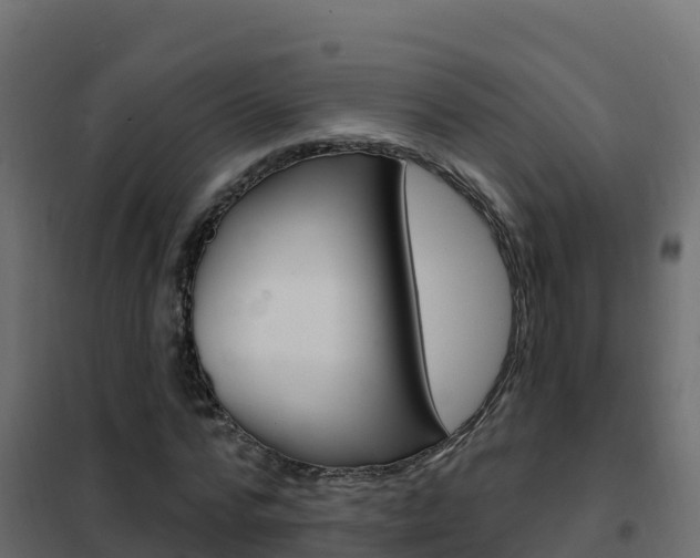 X0000102490776200808081055
