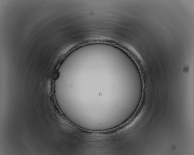 X0000102490777200808081055