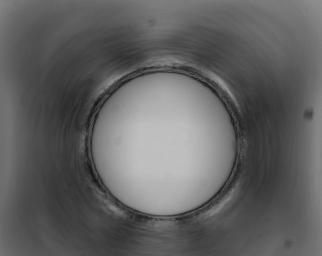 X0000102490778200808081055