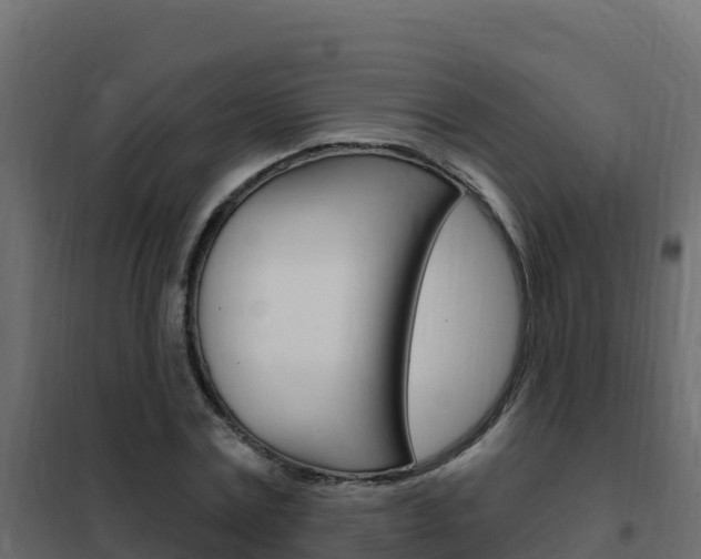 X0000102490779200808081055
