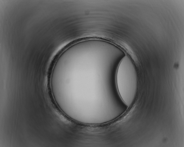 X0000102490780200808081055