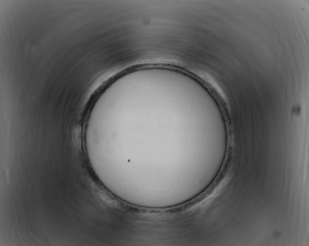 X0000102490781200808081055