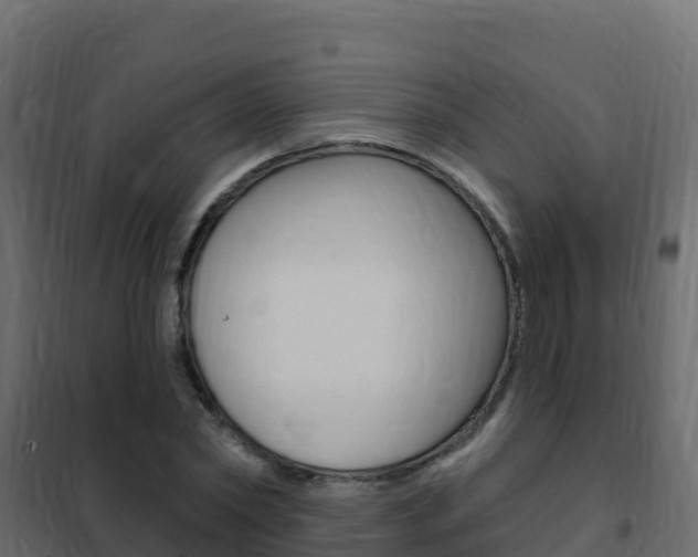 X0000102490782200808081055