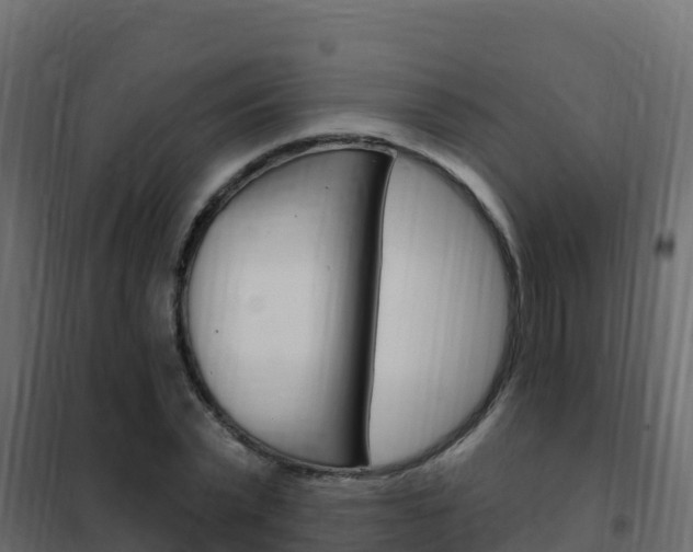 X0000102490783200808081055