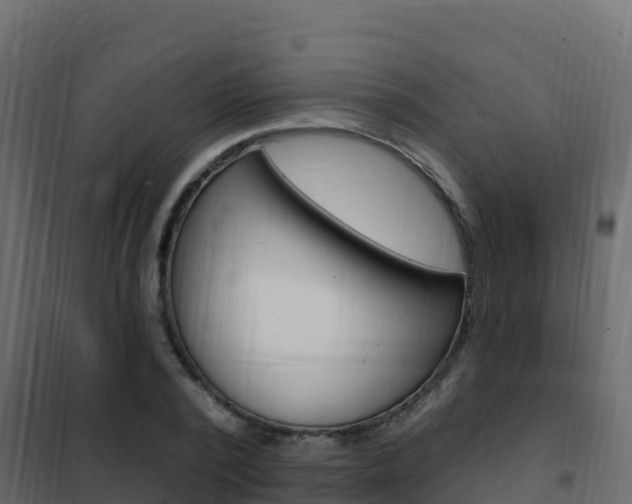 X0000102490784200808081055
