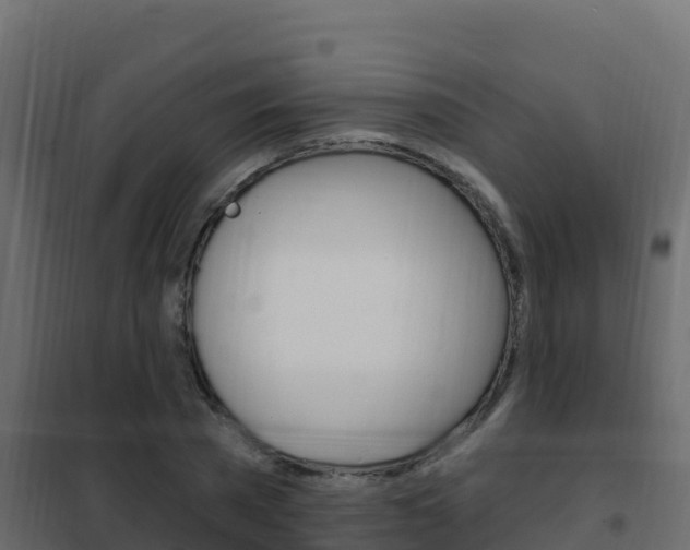 X0000102490785200808081055