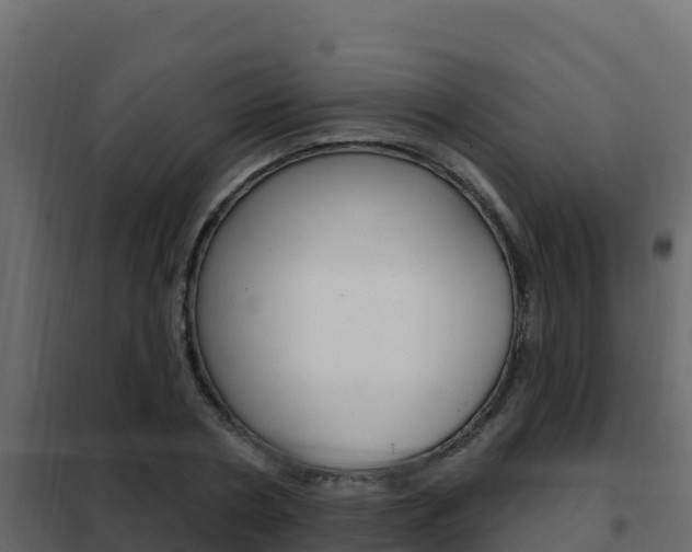 X0000102490786200808081055