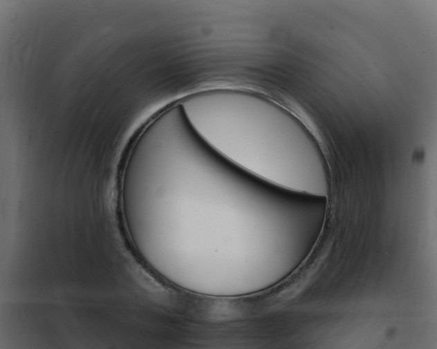 X0000102490787200808081055