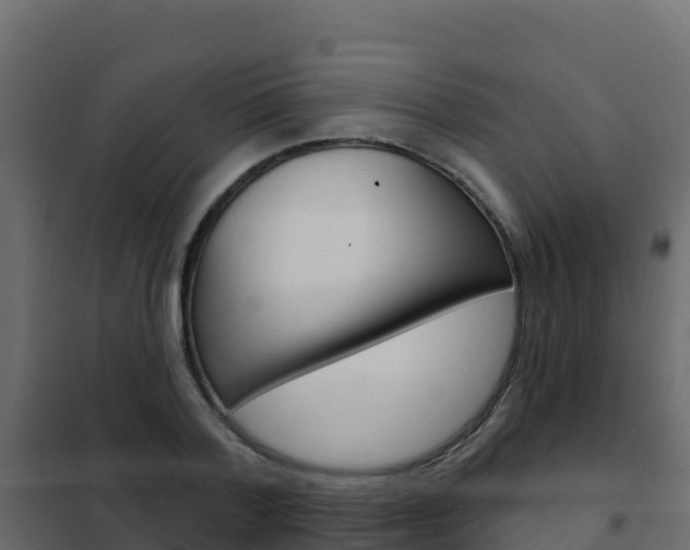 X0000102490788200808081055