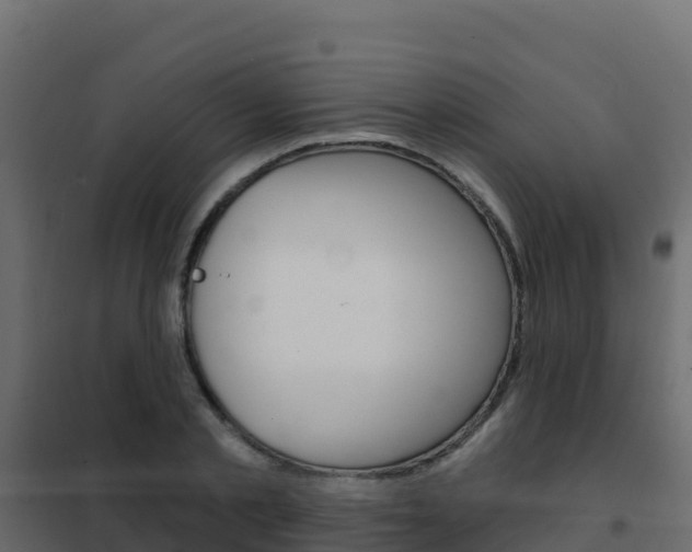 X0000102490789200808081055