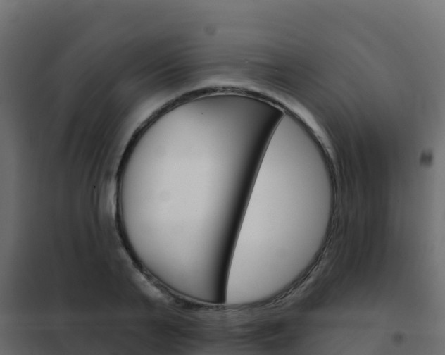 X0000102490791200808081055