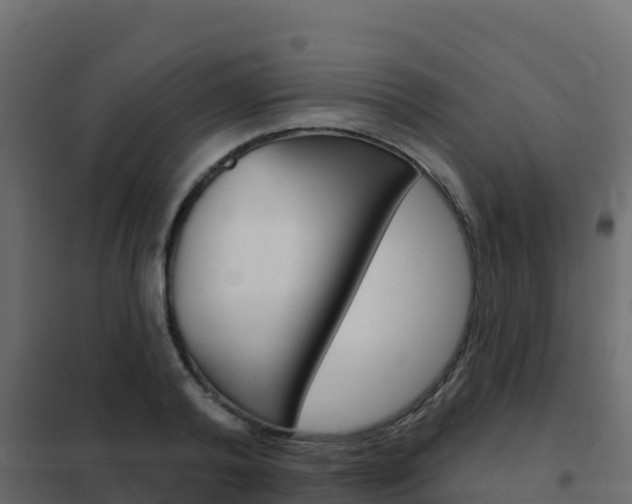 X0000102490792200808081055