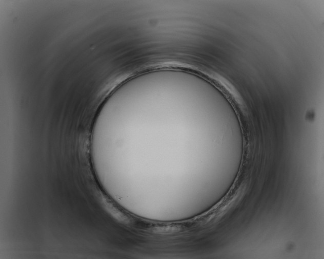 X0000102490793200808081055