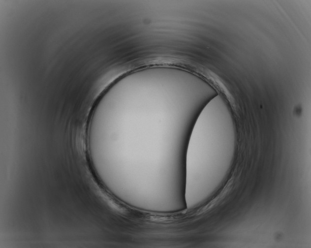 X0000102490794200808081055