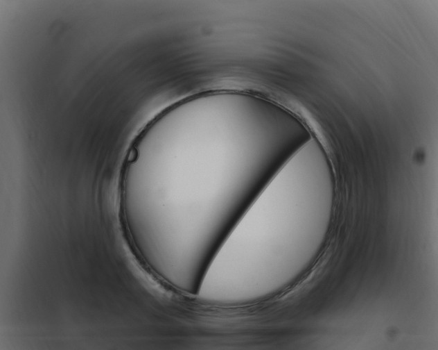 X0000102490795200808081055