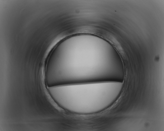 X0000102490796200808081055