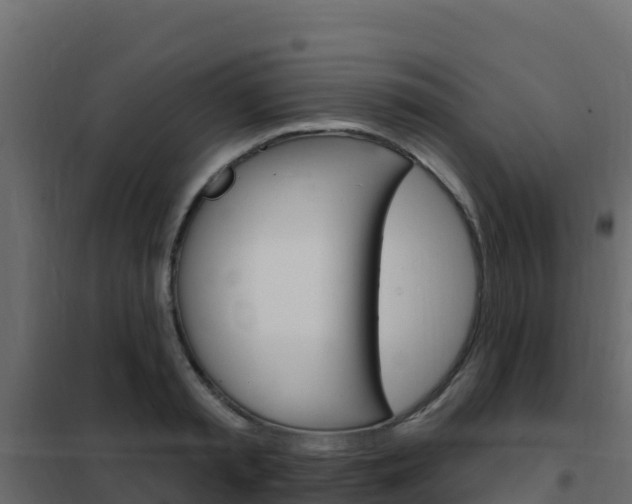 X0000102490797200808081055