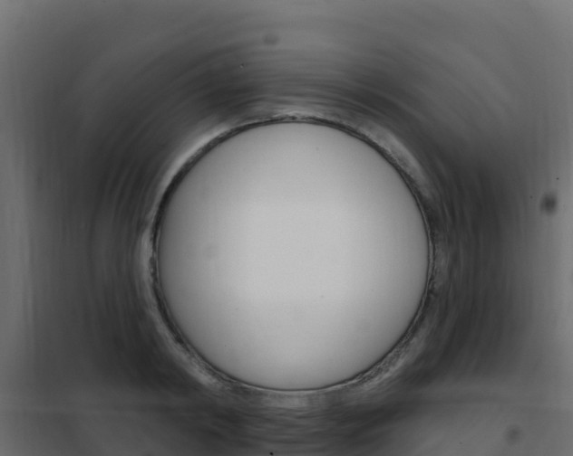 X0000102490798200808081055
