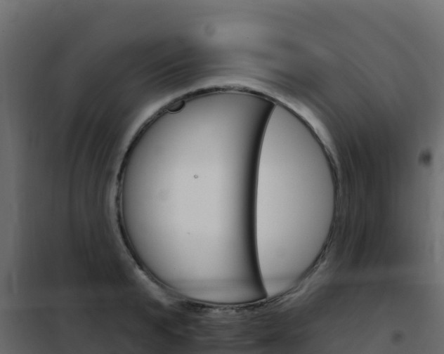 X0000102490799200808081055