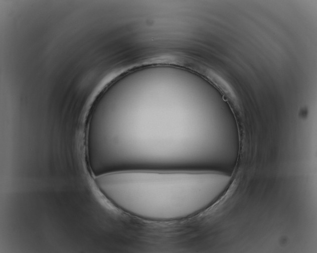 X0000102490800200808081055